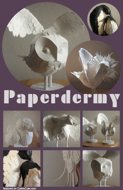 Paperdermy animals